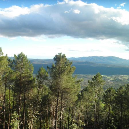 Amatalasvinas Piedralaves Exteriér fotografie